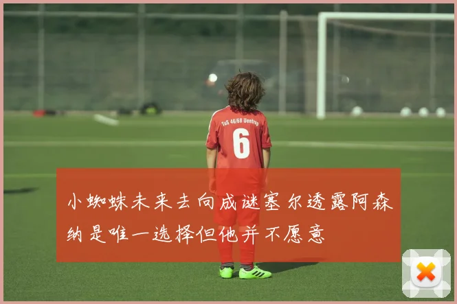 小蜘蛛未来去向成谜塞尔透露阿森纳是唯一选择但他并不愿意